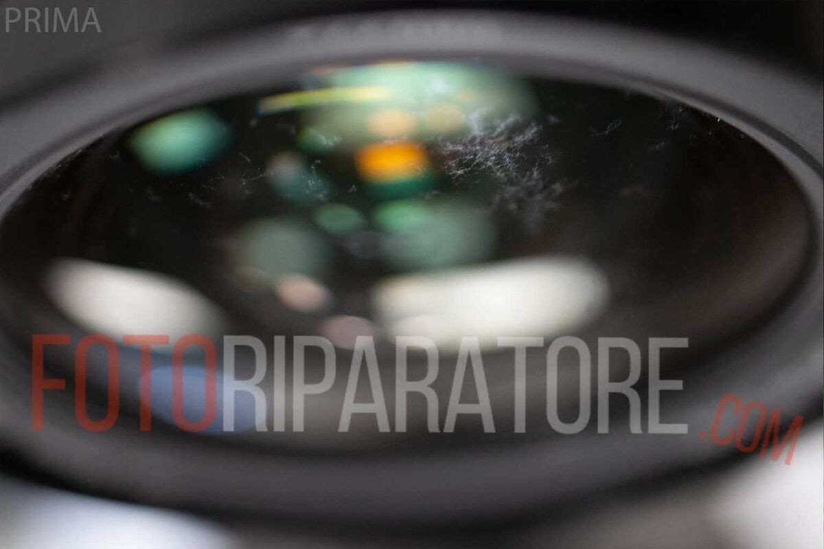 Obiettivo Canon 24-70mm con ramificazioni di muffe